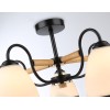 Люстра на штанге Ambrella Light Modern TR3033245