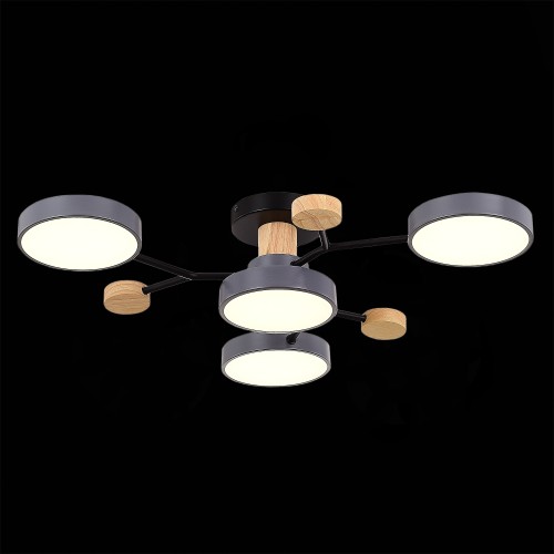 Люстра на штанге Evoluce Faema SLE6006-702-04