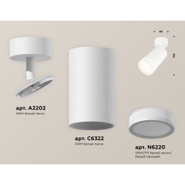 Спот Ambrella Light Techno Spot XM6322013 (A2202, C6322, N6220)