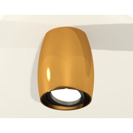 Накладной поворотный светильник Ambrella Light Techno XS1125002 (C1125, N7002)