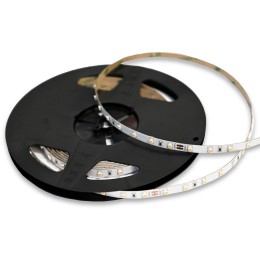 Светодиодная лента ST Luce ST016 ST016.310.65