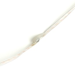 Светодиодная гирлянда линейная Роса Feron CL577 48618