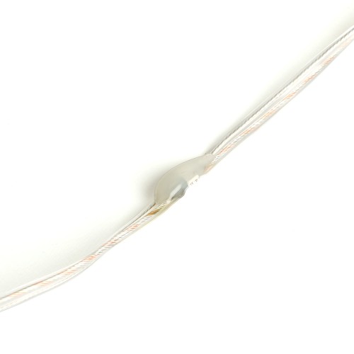 Светодиодная гирлянда линейная Роса Feron CL577 48618