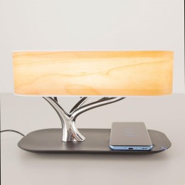 Настольная лампа Citilux Ньютон CL803042