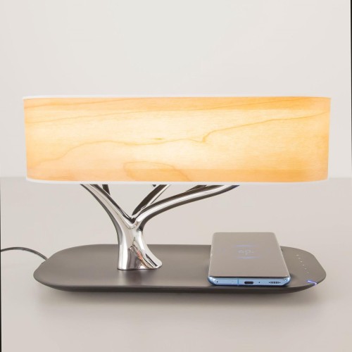 Настольная лампа Citilux Ньютон CL803042