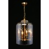 Подвесной светильник APLOYT Polin APL.603.06.06