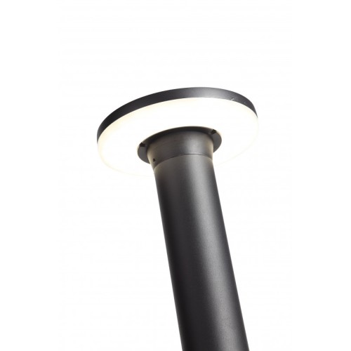 Садовый светильник ST-Luce SL087.415.01