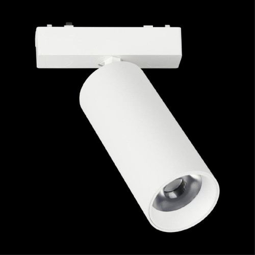 Трековый магнитный светильник Aployt Magnetic track 48 APL.0114.10.18