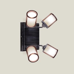 Спот Citilux Робин CL535541