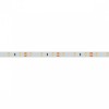 Светодиодная влагозащищенная лента Arlight 7,2W/m 60LED/m 2835SMD теплый белый 5M 020519(2)
