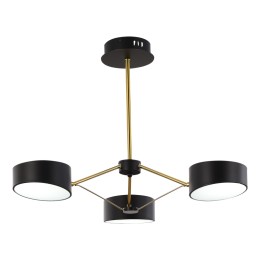 Потолочный светильник Evoluce Valle SLE6005-402-03