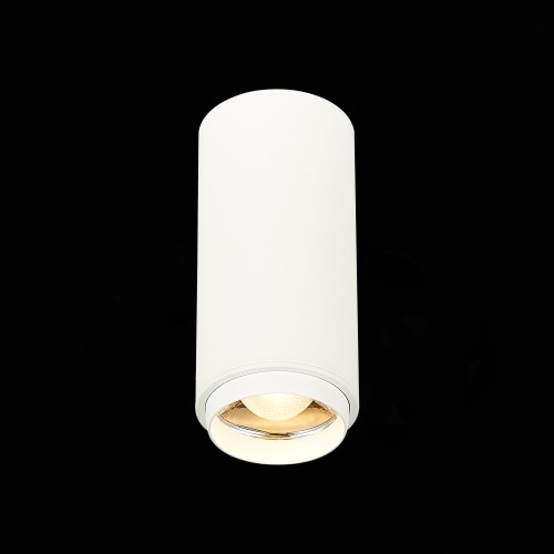 Потолочный светильник ST Luce Zoom ST600.532.10