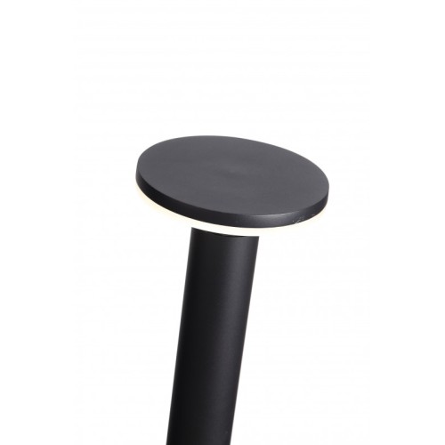 Садовый светильник ST-Luce SL087.415.01