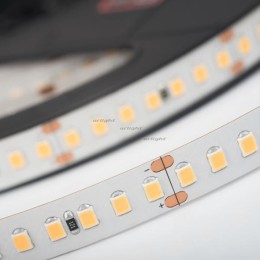 Светодиодная лента Arlight 019095