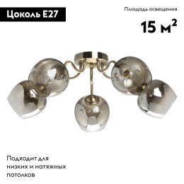 Потолочная люстра De Markt Альфа 324018105