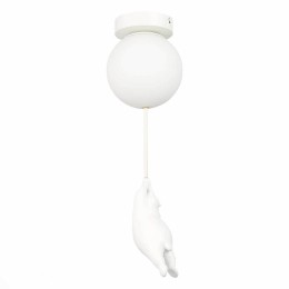 Потолочный светильник Evoluce Modena SLE115402-01