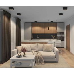 Накладной светильник Denkirs DK3030 DK3035-BK