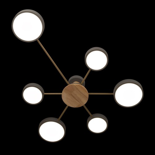 Потолочная люстра Loft IT Sunrise 10316/6 Grey