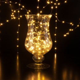 Гирлянда Eurosvet 200-006 200-006 теплый белый 2*2,6м IP20 a060422