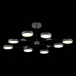 Потолочный светильник Evoluce Monta SLE6003-702-08