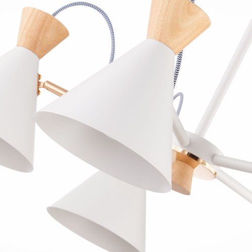 Потолочная люстра Evoluce Modica SLE125102-05