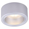 Потолочный светильник Arte Lamp Effetto A5553PL-1GY
