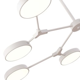 Потолочный светильник Evoluce Monta SLE6003-502-08