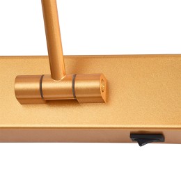 Подсветка для картин Arte Lamp Harrison A1709AP-1GO