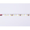 Светодиодная лента Ambrella Light LED Strip 12В 5050 14,4Вт/м 4500K 5м IP65 GS2102