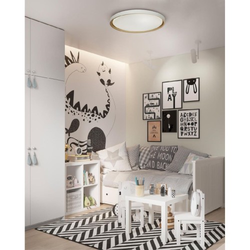 Настенно-потолочный светильник Sonex Kisil 7645/DL