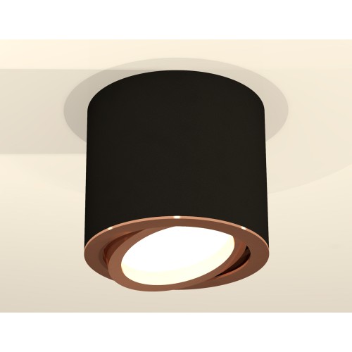 Накладной поворотный светильник Ambrella Light Techno XS7402004 (C7402, N7005)