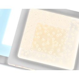 Бра Ambrella Light Acrylica Original FA426