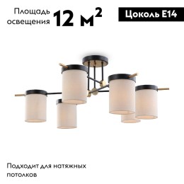 Потолочная люстра Freya Bogy FR5377CL-06B