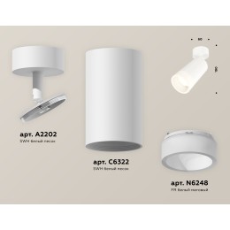 Спот Ambrella Light Techno Spot XM6322011 (A2202, C6322, N6248)