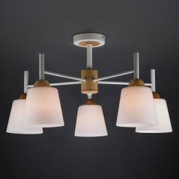 Потолочная люстра Eurosvet Fresco 70085/5 белый