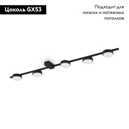 Потолочная люстра Freya Tactic FR5363CL-05B