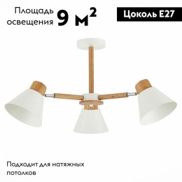 Потолочная люстра Evoluce Buve SLE103702-03