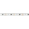 Светодиодная герметичная лента Arlight DMX-PFS-B60-12mm 12V RGB-PX3 (14 W/m, IP68, 5060, 5m) 039175