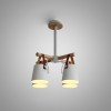 Люстра на штанге ImperiumLoft Natura 178003-26