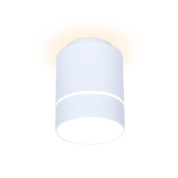 Потолочный светодиодный светильник Ambrella Light Techno Spot TN255