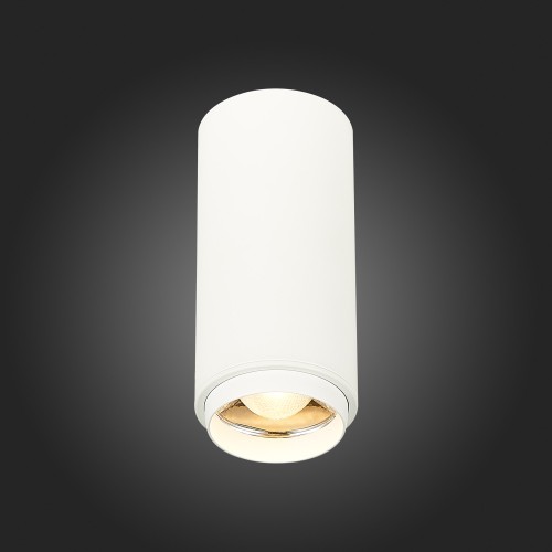 Потолочный светильник ST Luce Zoom ST600.532.10