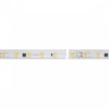 Светодиодная влагозащищенная лента Arlight 8W/m 54LED/m 5060SMD дневной белый 50M 027057(2)