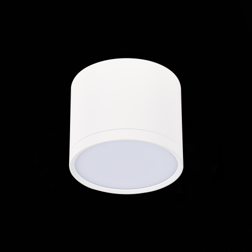 Потолочный светильник ST Luce Rene ST113.532.09