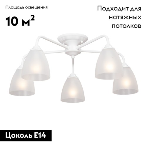 Потолочная люстра Vitaluce V3946-0/5PL