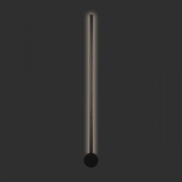 Настенный светильник Loft IT Rays 10055BK