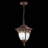 Уличный подвесной светильник ST Luce Chiani SL083.703.01