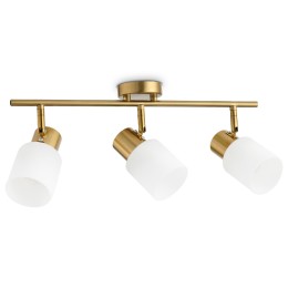 Спот Ambrella Light Traditional TR3972