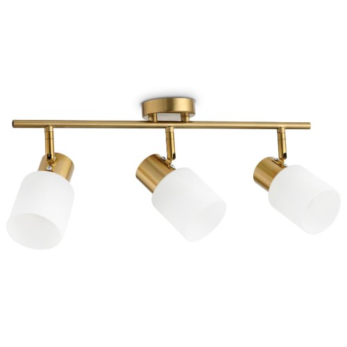 Спот Ambrella Light Traditional TR3972