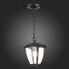 Уличный подвесной светильник ST Luce Sivino SL081.403.01