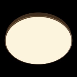 Потолочный светильник Loft IT Flims 10228/B